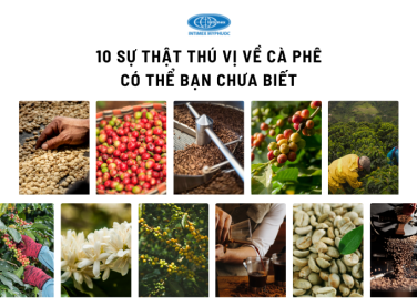 10 sự thật thú vị về cà phê có thể bạn chưa biết
