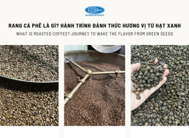 Rang cà phê là gì? Hành trình đánh thức hương vị từ hạt xanh
