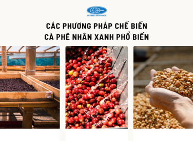 Các phương pháp chế biến cà phê nhân xanh phổ biến