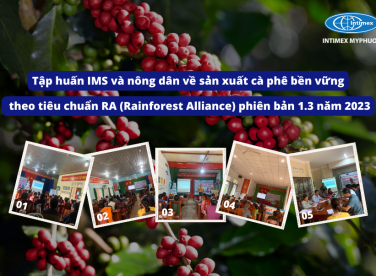 TẬP HUẤN IMS VÀ NÔNG DÂN VỀ SẢN XUẤT CÀ PHÊ BỀN VỮNG THEO TIÊU CHUẨN RA (RAINFOREST ALLIANCE) PHIÊN BẢN 1.3 NĂM 2023
