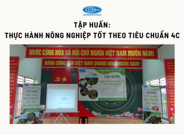 Tập huấn Thực hành nông nghiệp tốt theo tiêu chuẩn 4C - Dự án cà phê bền vững Intimex Mỹ Phước