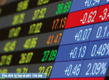 GIAO DỊCH KỲ HẠN CÀ PHÊ TRÊN SÀN