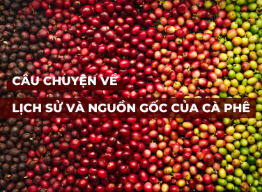 Câu chuyện về lịch sử và nguồn gốc cà phê