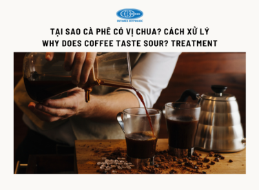 TẠI SAO CÀ PHÊ CÓ VỊ CHUA? CÁCH XỬ LÝ