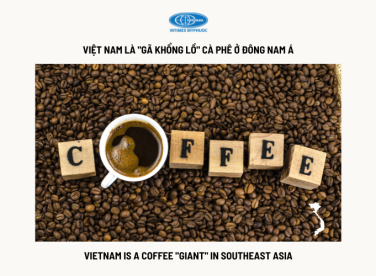 Rong ruổi tìm hương vị tuyệt vời nhất, phóng viên báo New York Times gọi Việt Nam là "gã khổng lồ" cà phê ở Đông Nam Á