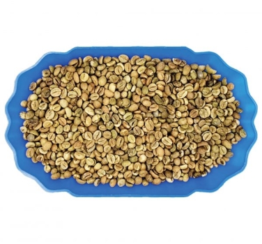 VIETNAM ROBUSTA COFFEE GRADE 1 SCREEN 16 CLEANED
