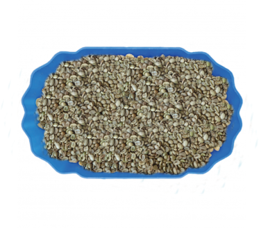 Cà phê Arabica Grade 1/16 Unwashed