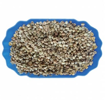 VIETNAM ROBUSTA COFFEE GRADE 2 SCREEN 13 WET POLISHED