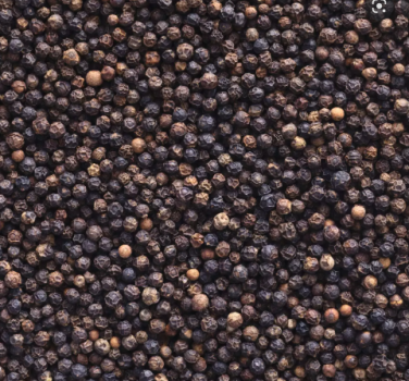 CLEAN UNSTEAMED BLACK PEPPER 500,550,570 G/L