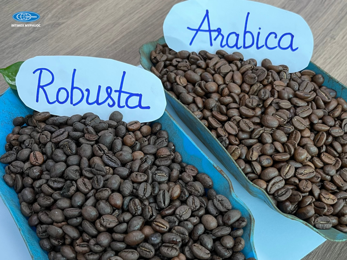 Robusta and Arabica Coffee Beans