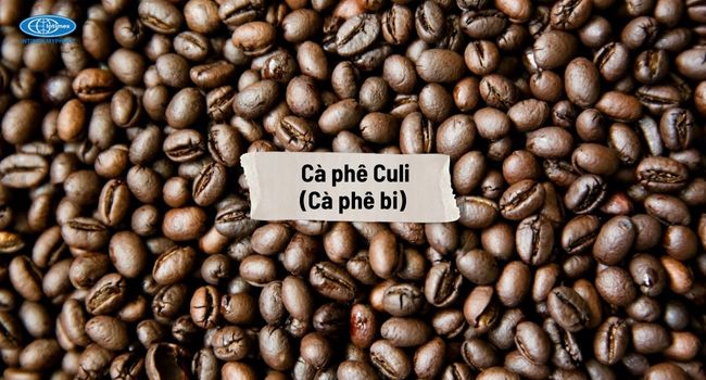 Cà phê Culi (Cà phê bi) - Vị đắng gắt, hương thơm nồng nàn